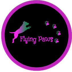 Flying Paws